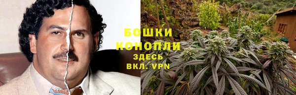 Альфа ПВП Нея
