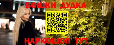 дурь Заводоуковск