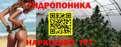 дурь Заводоуковск