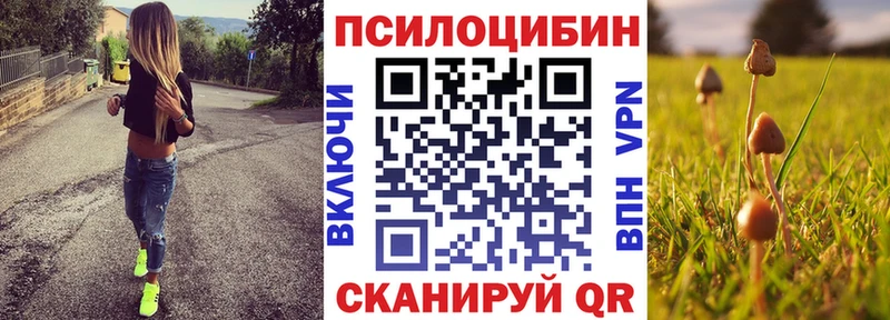 маркетплейс телеграм Североуральск Галлюциногенные грибы прущие грибы