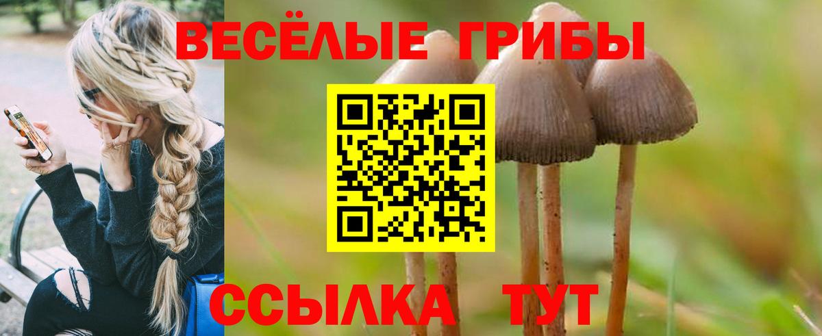 Североуральск  Галлюциногенные грибы мицелий  Галлюциногенные грибы Magic Shrooms  где можно купить   Вход с VPN 